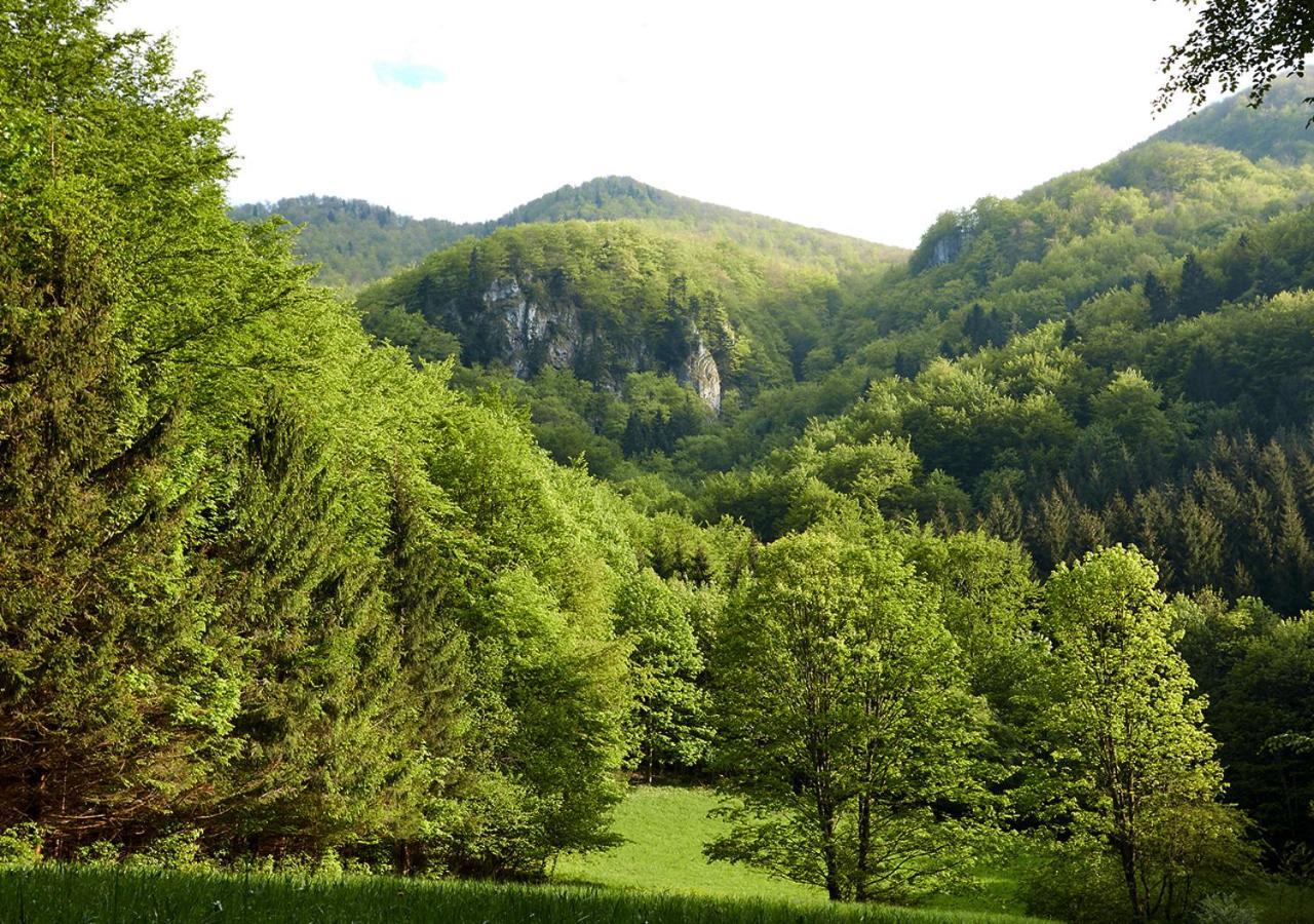 Penzion Pod Strazovom Pruzina Exterior foto